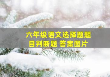 六年级语文选择题题目判断题 答案图片